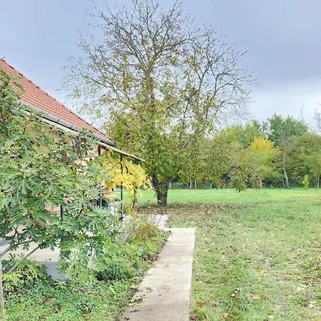 Apartmán - Estate - 3 , Up To 15 Guest, 3000 Sqm - Near Tokaj & Tisza Tiszatardos